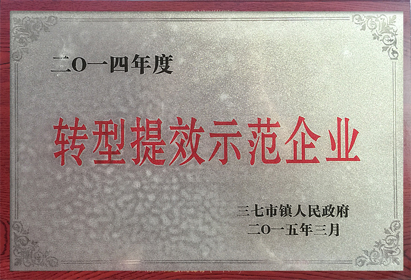 轉(zhuǎn)型提效示范企業(yè)